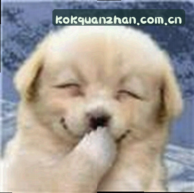 刘阳